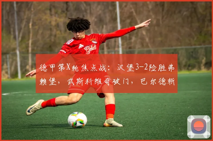 德甲第X轮焦点战：汉堡3-2险胜弗赖堡，武斯科维奇破门，巴尔德斩获处子球【视频集锦+赛后分析】